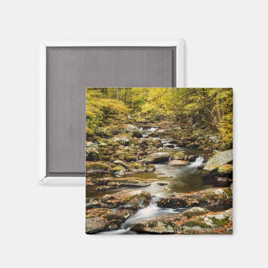 Der Herbst am Großen Bach Magnet (Vorderseite/Rückseite)