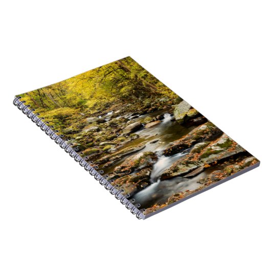 Der Herbst am Großen Bach Notizblock (Rechte Seite)