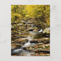 Der Herbst am Großen Bach