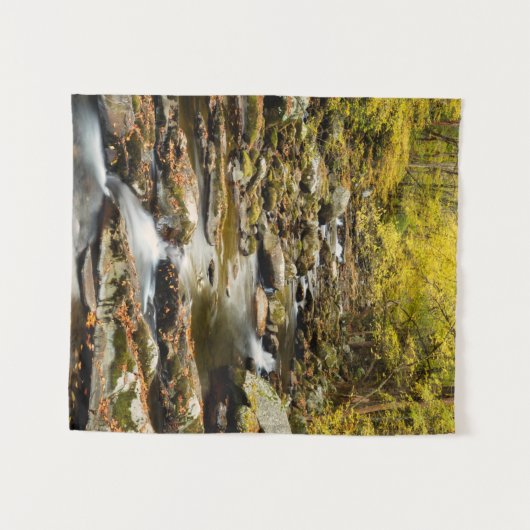 Der Herbst am Großen Bach Wandteppich (Vorderseite (Horizontal))