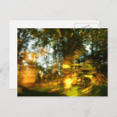Der Herbst dämmert! Postkarte (Vorne/Hinten)