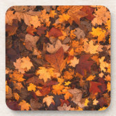 der Herbst Getränkeuntersetzer (Vorderseite)