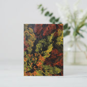 Der Herbst hinterlässt die Postkarte (Stehend Vorderseite)