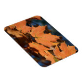 Der Herbst hinterlässt ein flexibles Magnet (Rechte Seite)