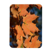 Der Herbst hinterlässt ein flexibles Magnet (Vertikal)