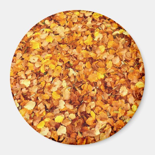 Der Herbst hinterlässt ein großes rundes Magnet (Vorne)