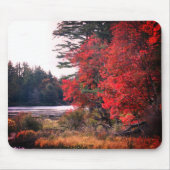 Der Herbst hinterlässt Marsh Nature Mousepad (Vorne)