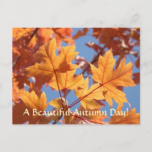 Der Herbst hinterlässt Postkarten Schöner Herbstta (Vorderseite)