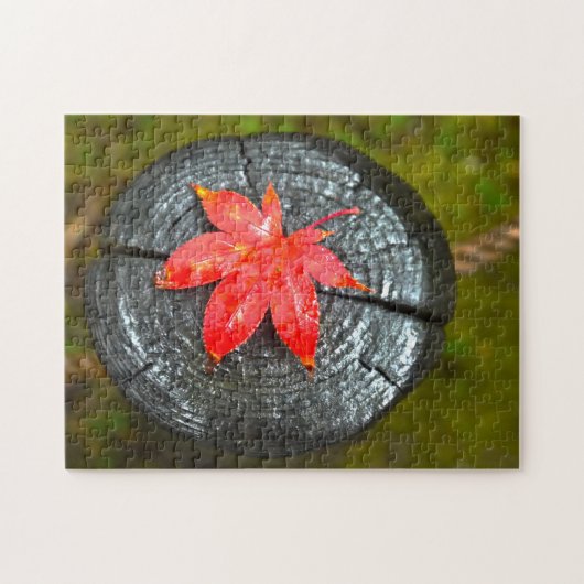 Der Herbst hinterlässt Quebec. Puzzle (Horizontal)