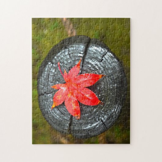 Der Herbst hinterlässt Quebec. Puzzle (Vertikal)