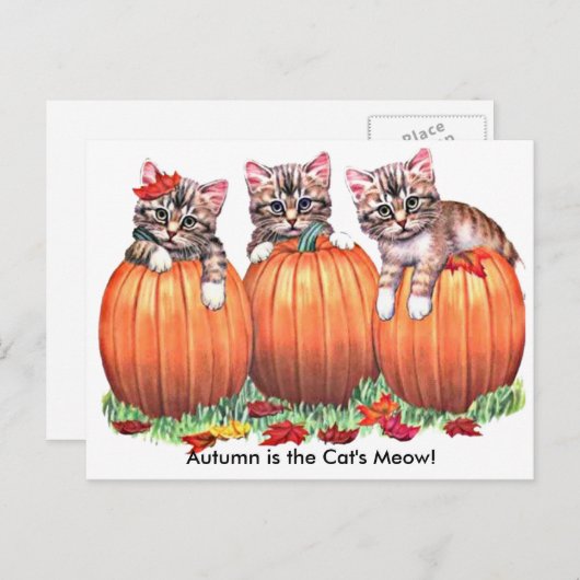 Der Herbst ist die Meow-Postkarte der Katze Postkarte (Vorne/Hinten)