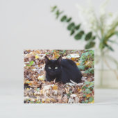 Der Herbst ist hier Black Cat Postcard Postkarte (Stehend Vorderseite)