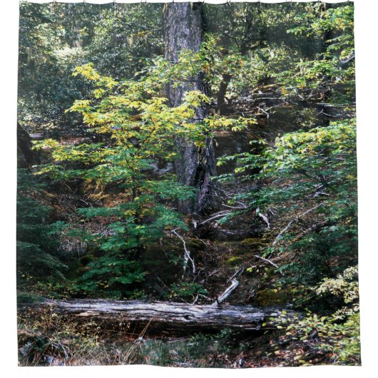 Der Herbst ist hier...... Duschvorhang (Vorderseite)