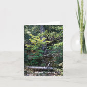 Der Herbst ist hier....... Karte (Vorderseite)