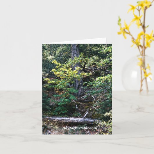 Der Herbst ist hier....... Karte (Gelbe Blume)