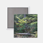 Der Herbst ist hier......... Magnet (Vorderseite/Rückseite)