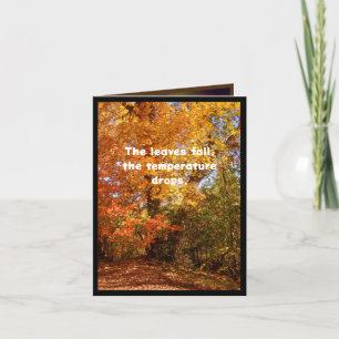 Der Herbst ist hier, und dasselbe gilt für Suppe Karte