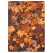 der Herbst Klemmbrett (Rückseite)