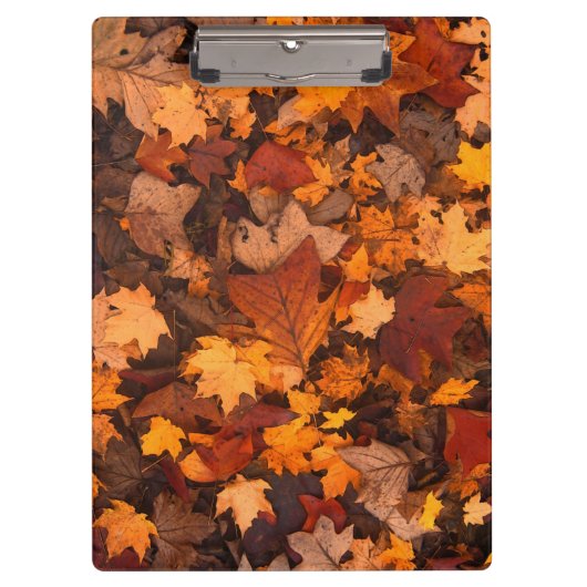 der Herbst Klemmbrett (Vorderseite)