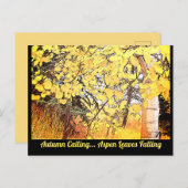 Der Herbst ruft.. Aspen-Blätter fallen. C Postkarte (Vorne/Hinten)