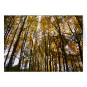 Der Herbst verlässt die Natur am Morgen (Vorderseite (Horizontal))