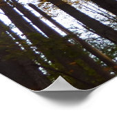 Der Herbst verlässt die Natur am Morgen Poster (Ecke)