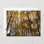 Der Herbst verlässt die Natur am Morgen Postkarte (Vorne/Hinten)