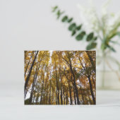 Der Herbst verlässt die Natur am Morgen Postkarte (Stehend Vorderseite)