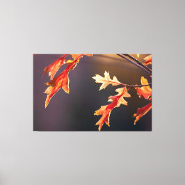 Der Herbst von Wadenschönsten Seite! Leinwanddruck