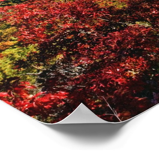 Der Herbstausblick der Linville-Schlucht wird oft  Poster (Ecke)