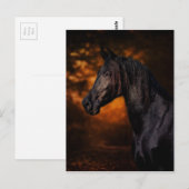 Der Herbsthengst Postkarte (Vorne/Hinten)