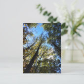 Der Herbstwald Postkarte (Stehend Vorderseite)