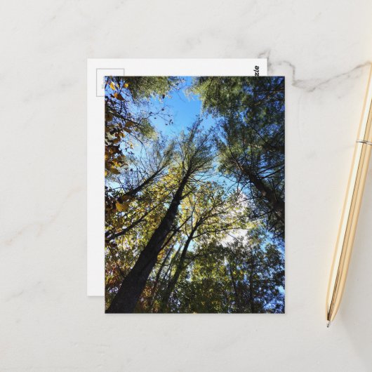 Der Herbstwald Postkarte (Vorderseite/Rückseite Beispiel)