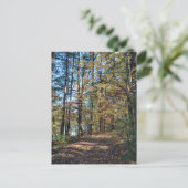 Der Herbstwaldweg Postkarte (Stehend Vorderseite)