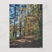 Der Herbstwaldweg Postkarte (Vorderseite)