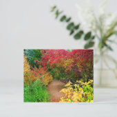 Der Herbstweg Postkarte (Stehend Vorderseite)