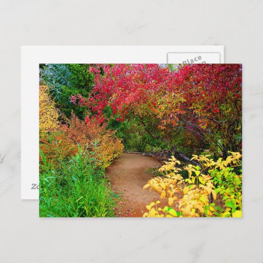 Der Herbstweg Postkarte (Vorne/Hinten)