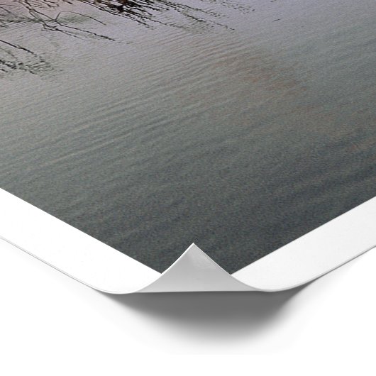 Der Heron fliegt, die Insel Santa Rosa Poster (Ecke)