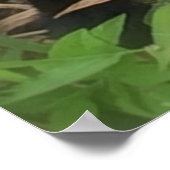 Der Herr ist mein Bild der Hirtenbibel Poster (Ecke)