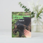 Der Herr ist mein Bild der Hirtenbibel Postkarte (Stehend Vorderseite)