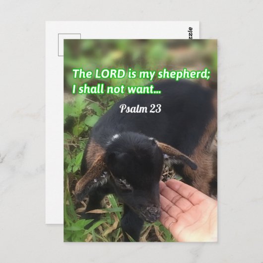 Der Herr ist mein Bild der Hirtenbibel Postkarte (Vorne/Hinten)