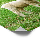 Der Herr ist mein Hirte, Psalm 23, ein Lamm-Poster Poster (Ecke)