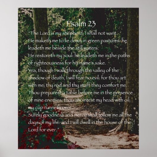 Der Herr ist mein Hirte, Psalm 23 Poster (Vorne)