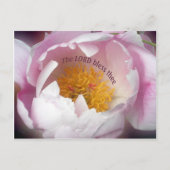 Der Herr segne dich Postkarte (Vorderseite)