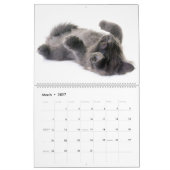 Der herrliche Maine Coon Calender Kalender (Mär 2027)
