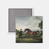 Der Herzog von Ancaster Bucht Hengst "Leder" Magnet (Vorderseite/Rückseite)