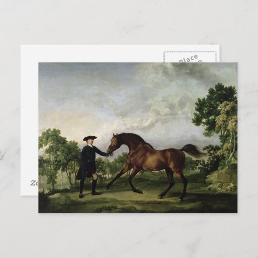 Der Herzog von Ancaster Bucht Hengst "Leder" Postkarte (Vorne/Hinten)