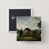 Der Herzog von Ancasters Bucht Stallion "freier Button (Vorne & Hinten)