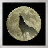 Der heulende Wolf Poster (Vorne)