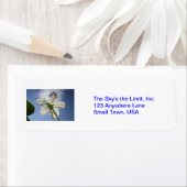 Der Himmel ist das Limit! (Insitu)